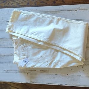 Loft cream pants, brand new with tags.